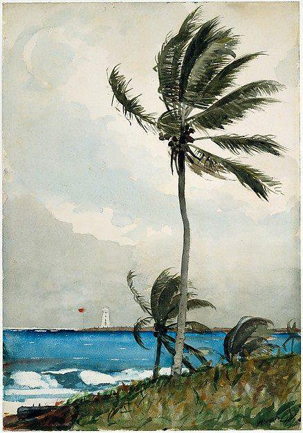 Winslow Homer - Palm Tree, Nassau. (1898)